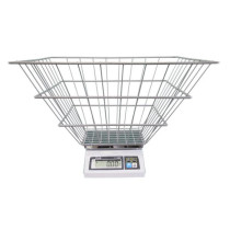 RB50 - Digital Laundry 50 lb. Scale with Dual Display Legal for Trade - R&B Wire